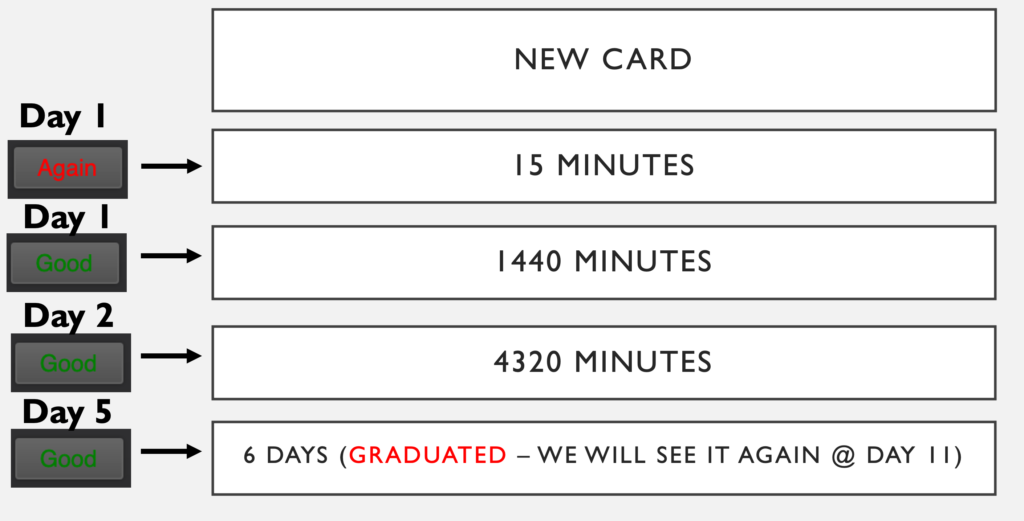 optimal anki settings med school