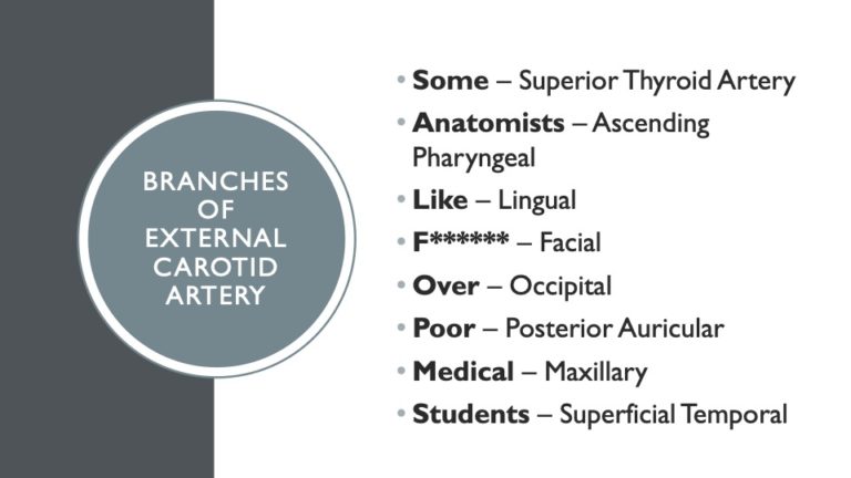 31 Medical Mnemonics Every Medical Student Should Know - Zach Highley